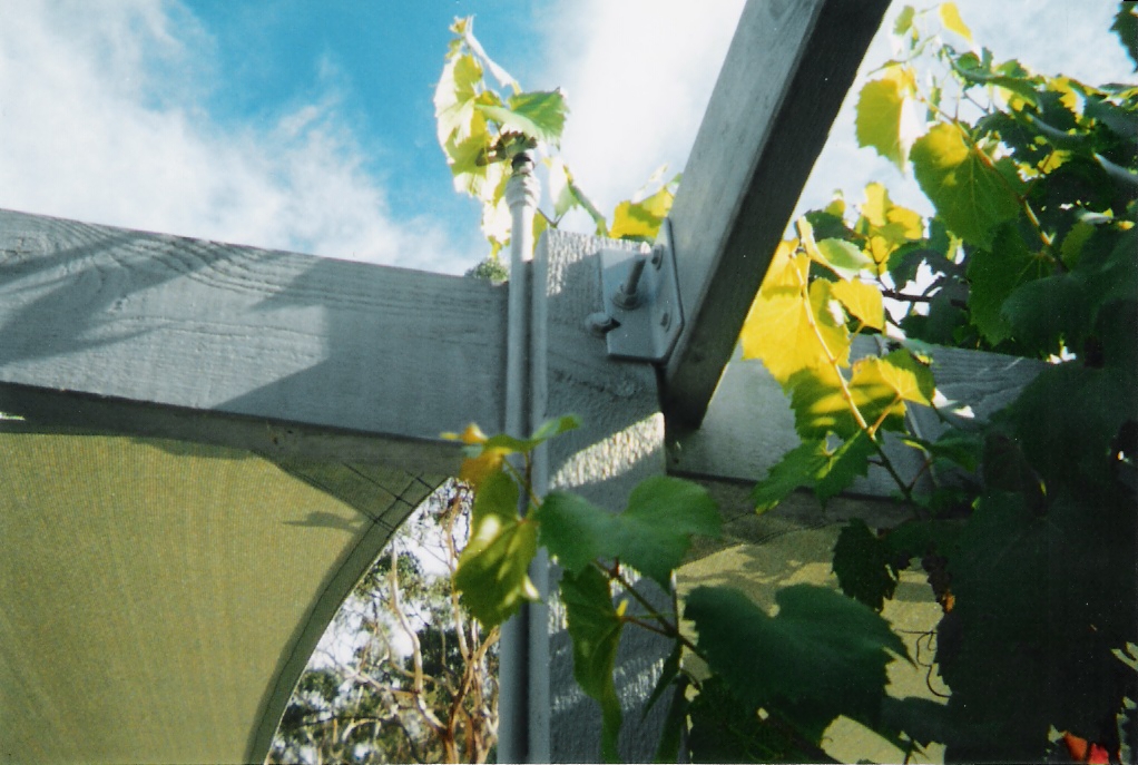 Image 7 of 24  -  426 kB